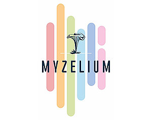 http://www.myzelium.com/